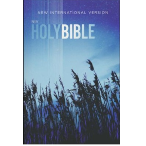 NIV-Outreach-Bible